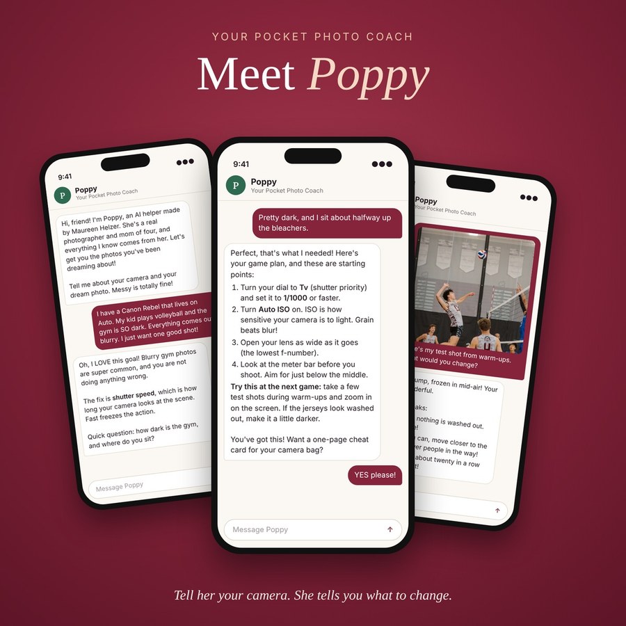 Three phone chats with Poppy, your pocket photo coach
